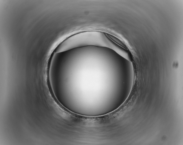 X0000099571512200805161505