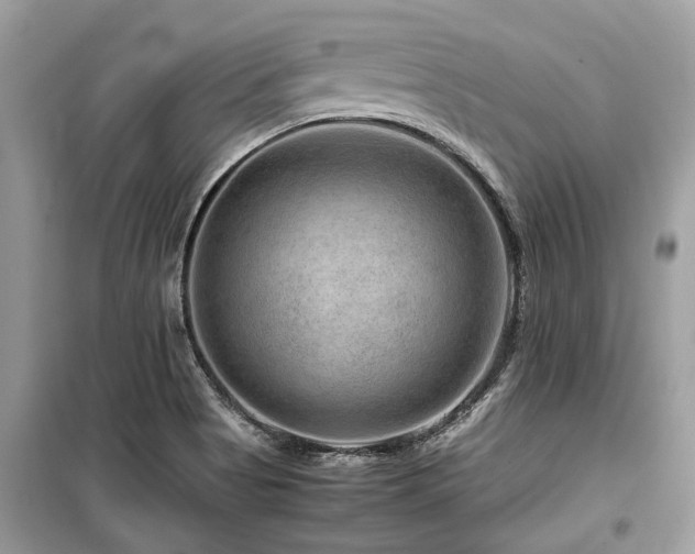 X0000099571513200805161505