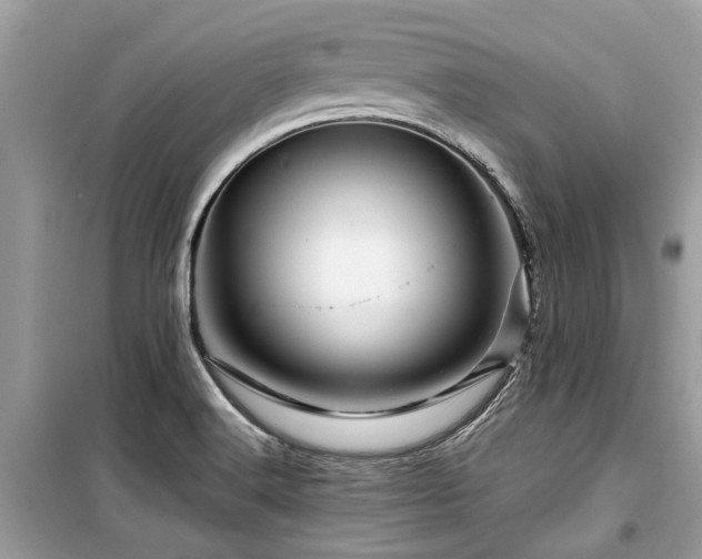 X0000099571516200805161505