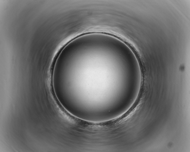 X0000099571517200805161505