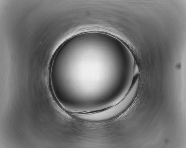 X0000099571518200805161505