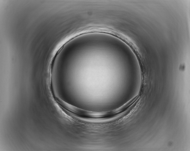 X0000099571520200805161505