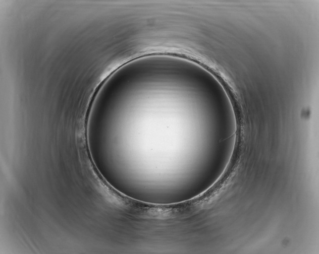 X0000099571521200805161505