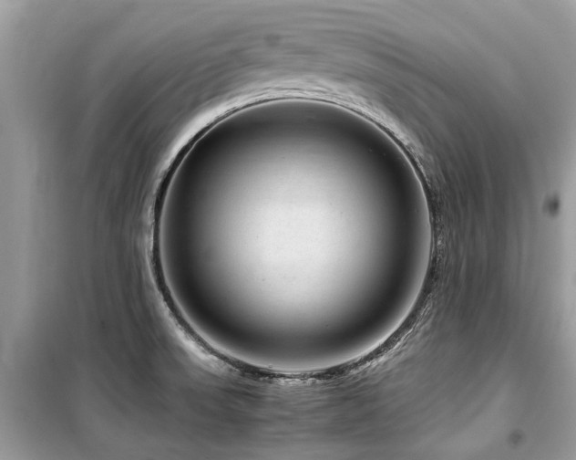 X0000099571523200805161505