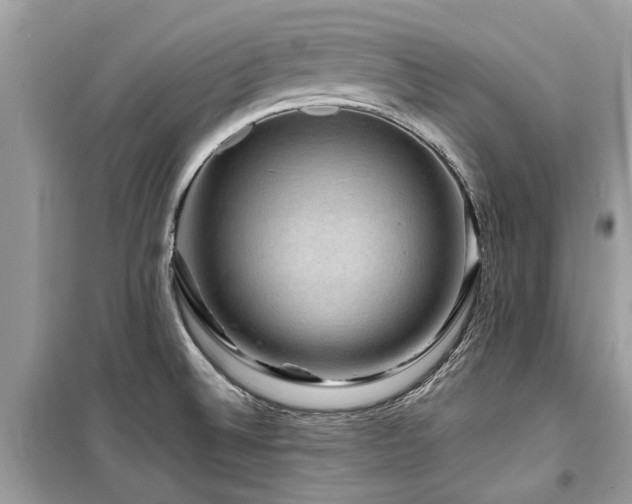 X0000099571524200805161505