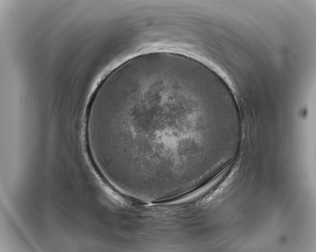 X0000099571525200805161505