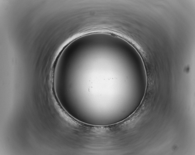 X0000099571526200805161505