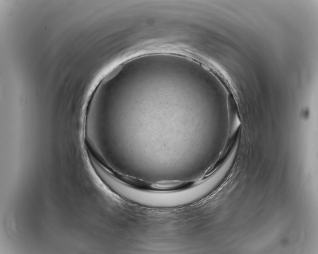 X0000099571528200805161505