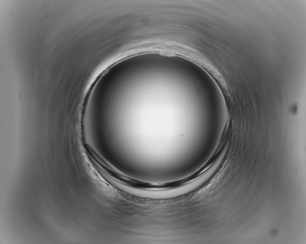 X0000099571530200805161505