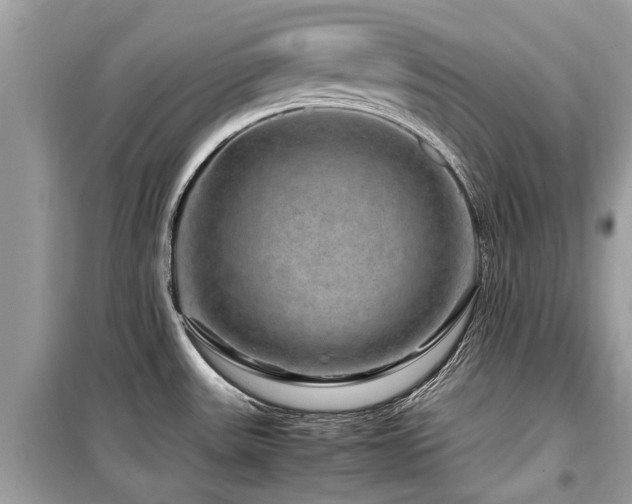 X0000099571531200805161505