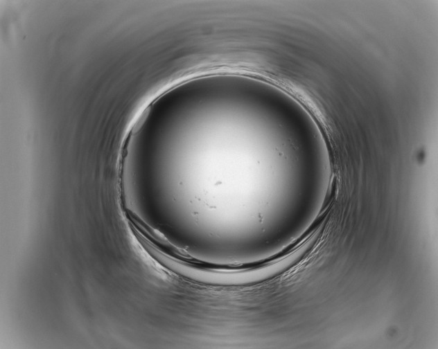 X0000099571532200805161505