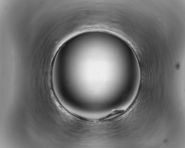 X0000099571534200805161505