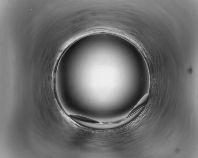 X0000099571535200805161505