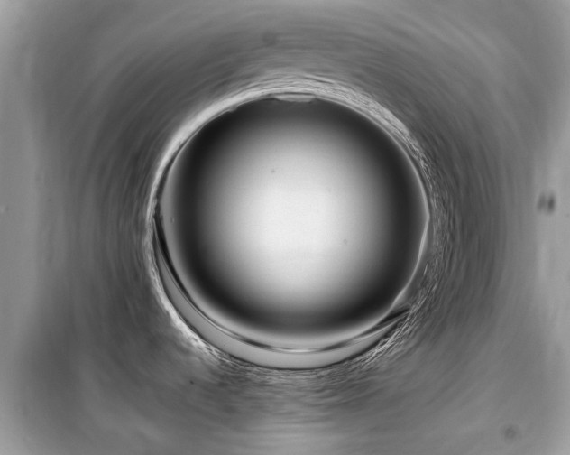 X0000099571536200805161505