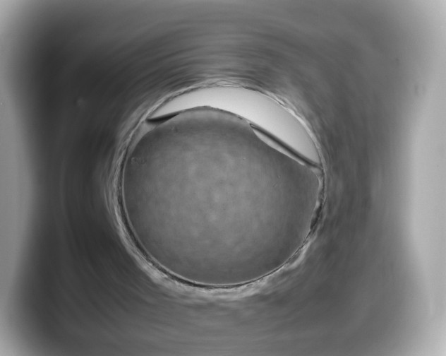 X0000099570001200805231540