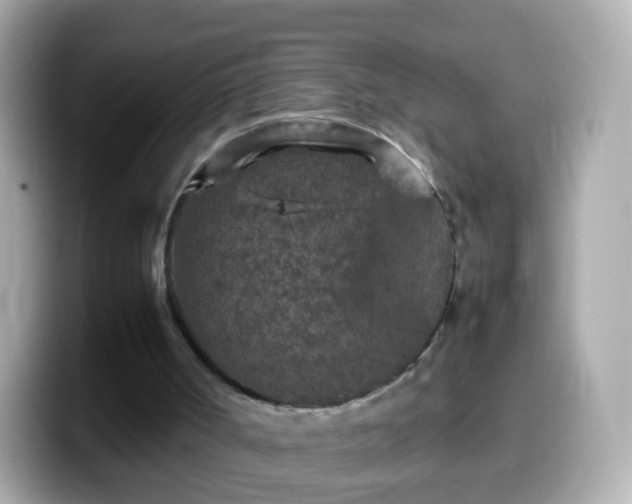 X0000099570002200805231540