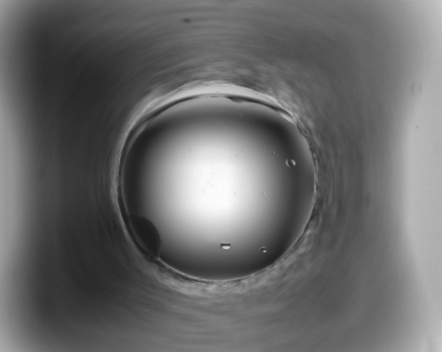 X0000099570003200805231540