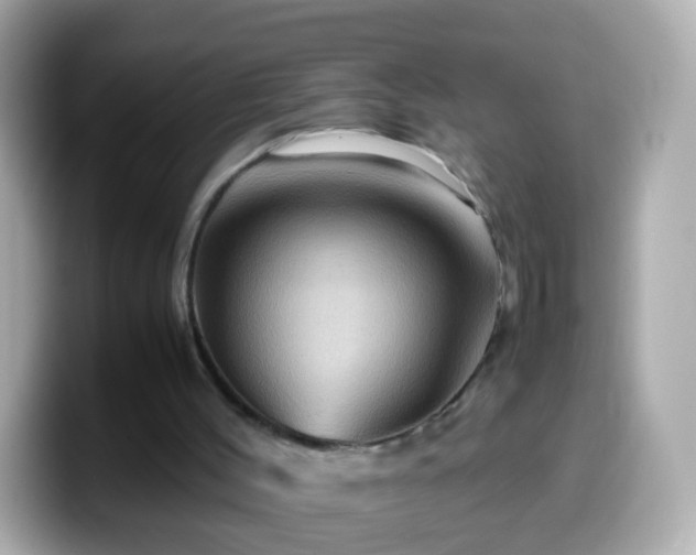 X0000099570004200805231540