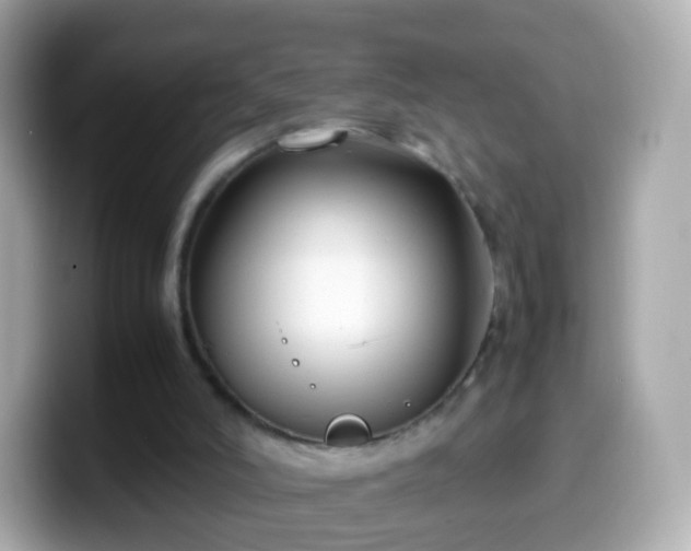 X0000099570006200805231540