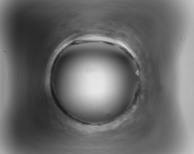 X0000099570007200805231540
