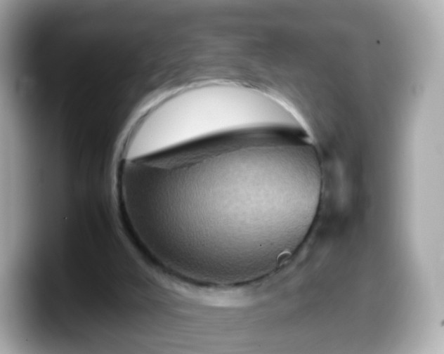 X0000099570008200805231540
