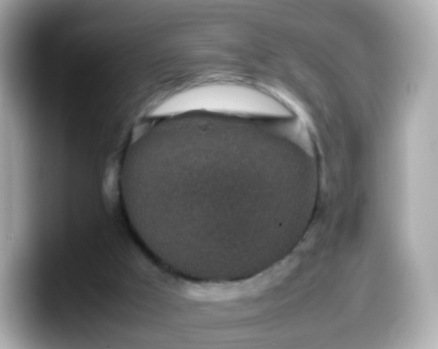 X0000099570009200805231540