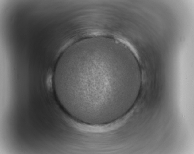 X0000099570010200805231540