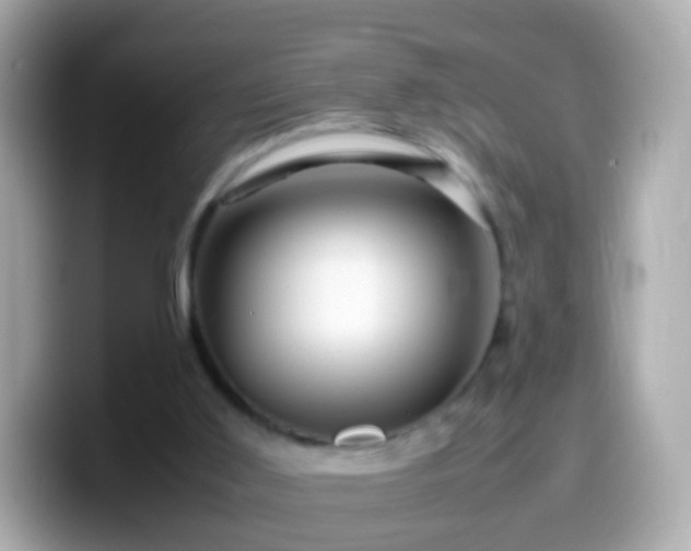 X0000099570011200805231540