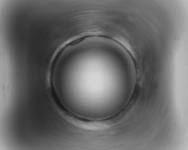 X0000099570012200805231540