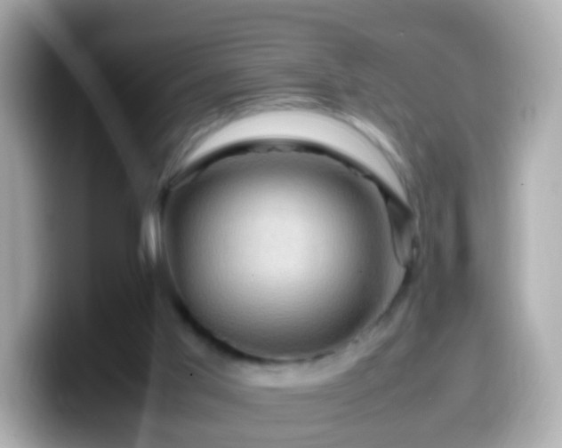 X0000099570013200805231540