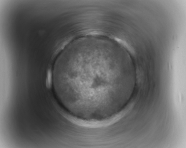 X0000099570014200805231540