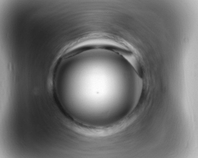 X0000099570015200805231540
