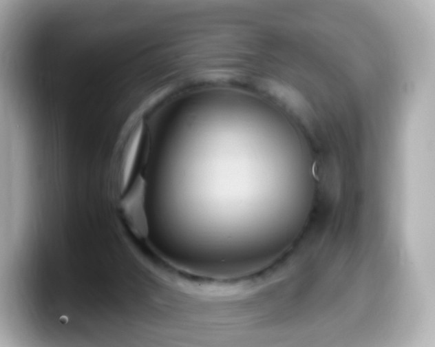 X0000099570016200805231540