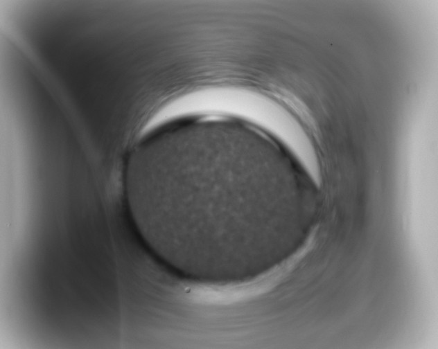 X0000099570017200805231540