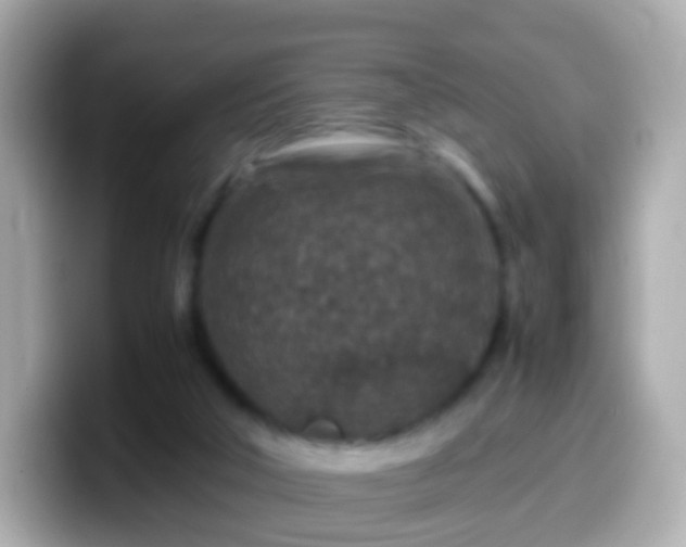 X0000099570018200805231540