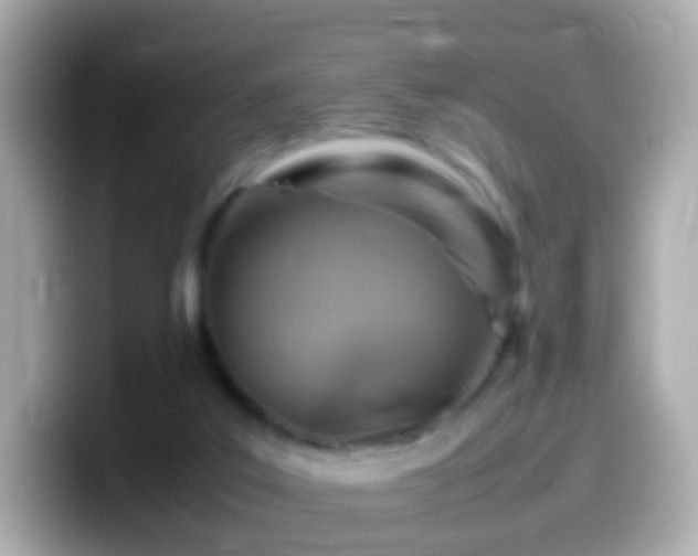 X0000099570019200805231540