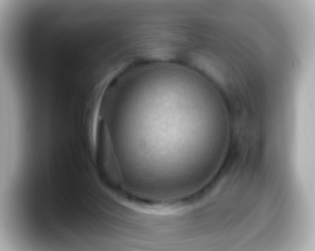 X0000099570020200805231540