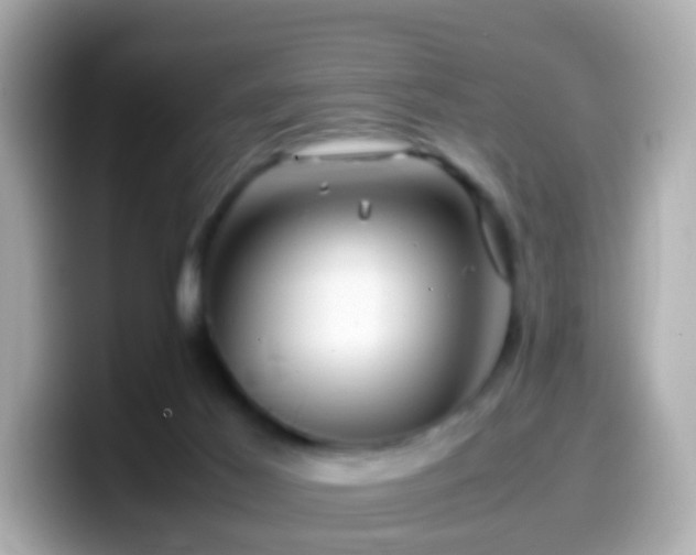 X0000099570021200805231540