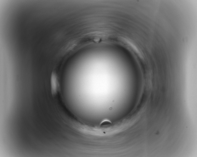 X0000099570022200805231540