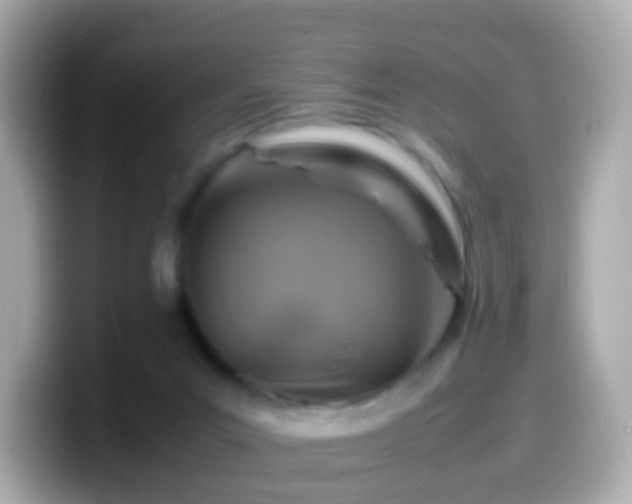 X0000099570023200805231540