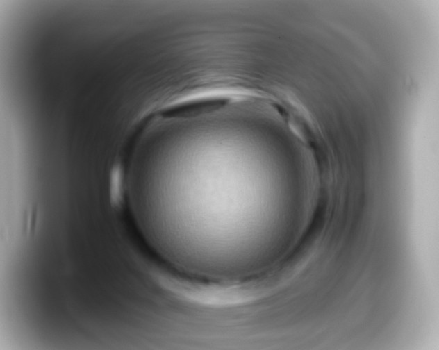 X0000099570024200805231540
