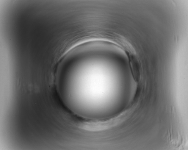 X0000099570025200805231540