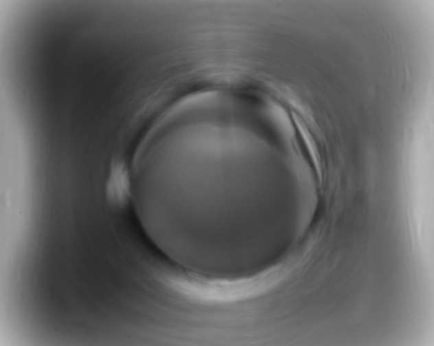X0000099570027200805231540