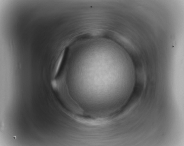 X0000099570028200805231540