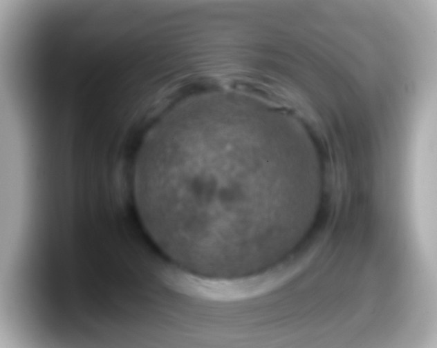 X0000099570030200805231540