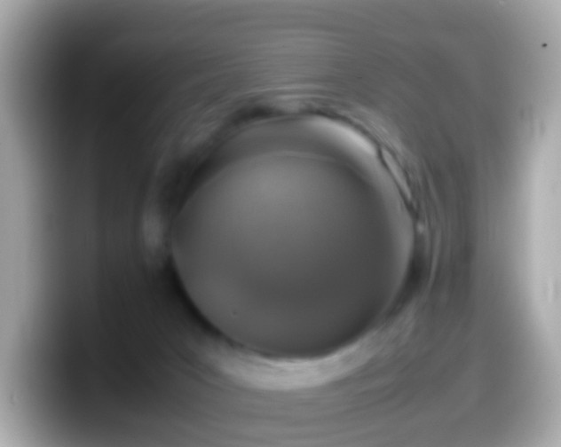 X0000099570031200805231540