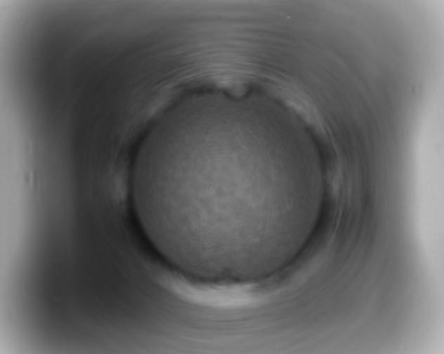 X0000099570032200805231540