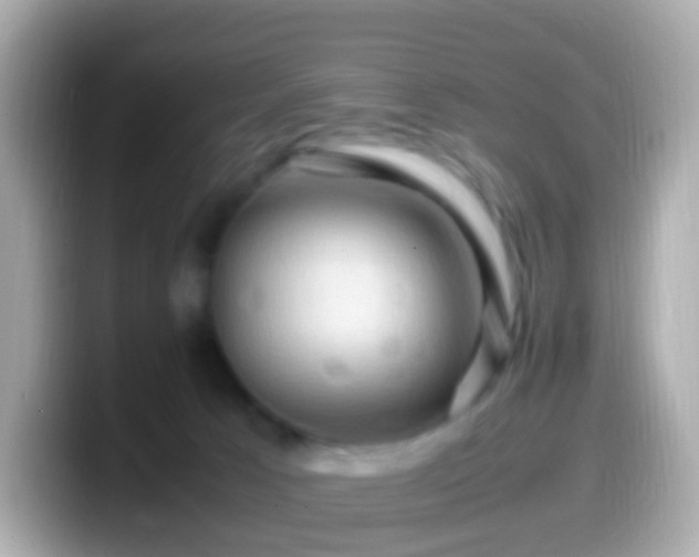 X0000099570033200805231540