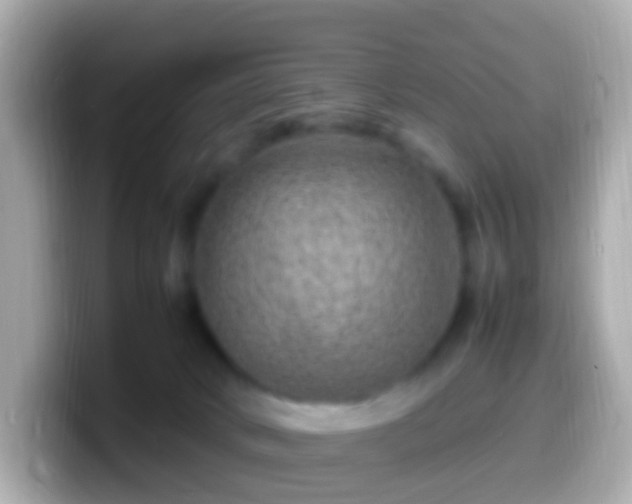 X0000099570034200805231540