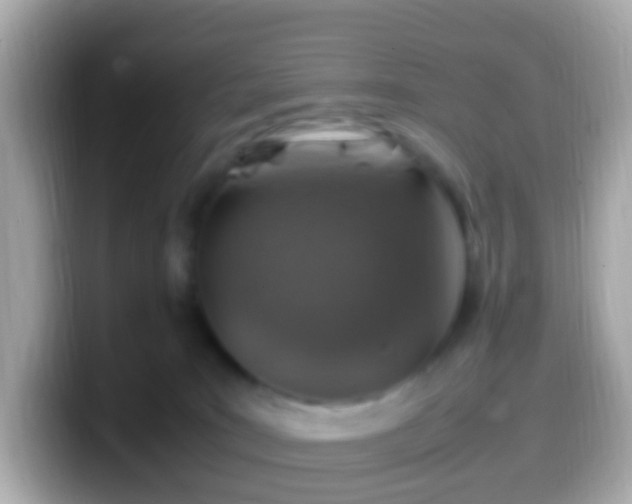 X0000099570035200805231540